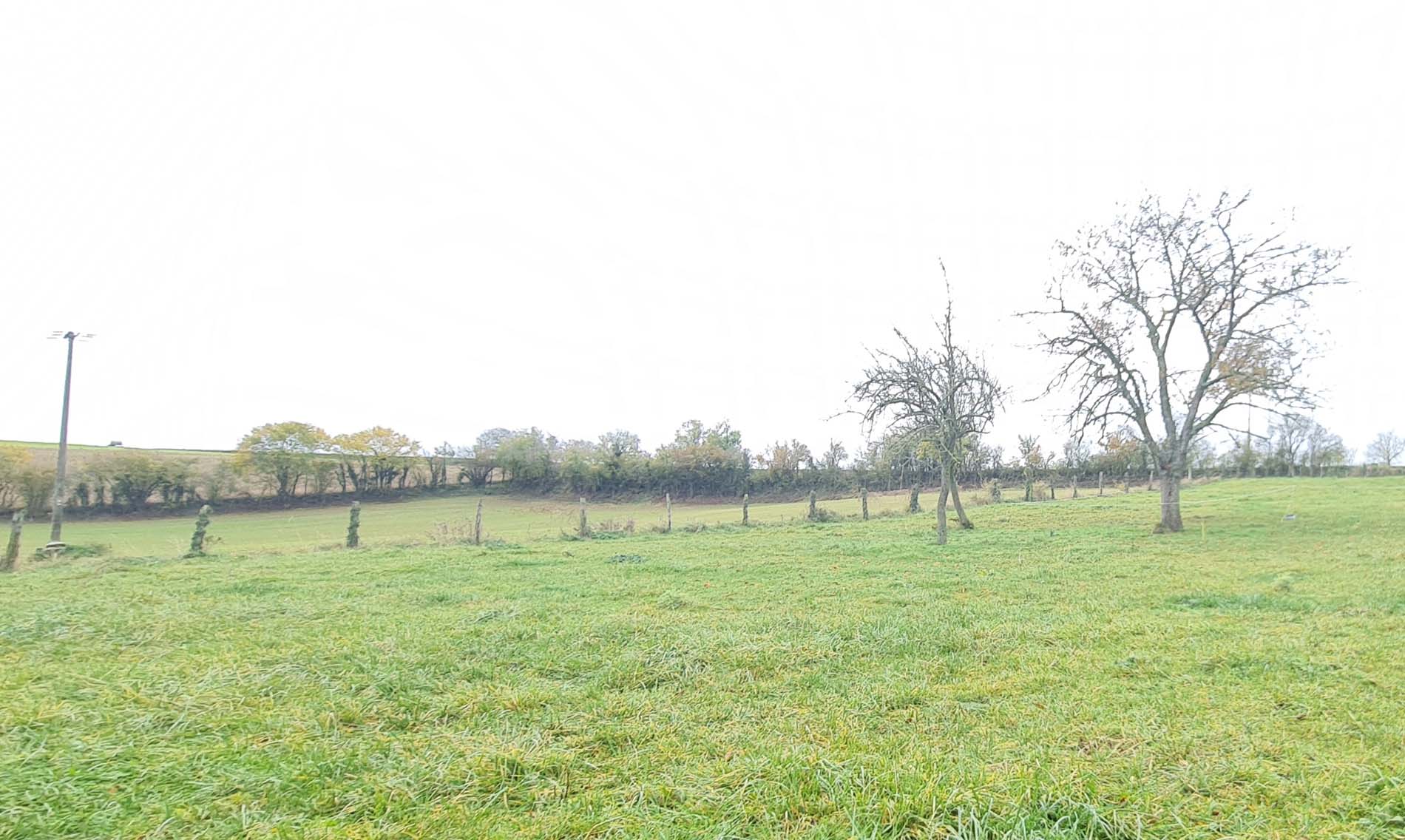 photo terrain a vendre Orleat